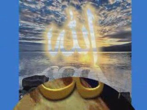 Recep Kapusuz - Olmaz olmaz