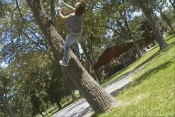 backflip raté sur un arbre