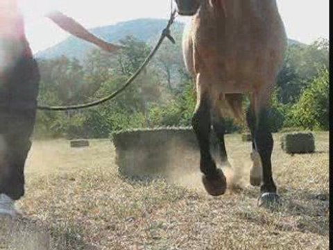 09.09.09 travail à pied