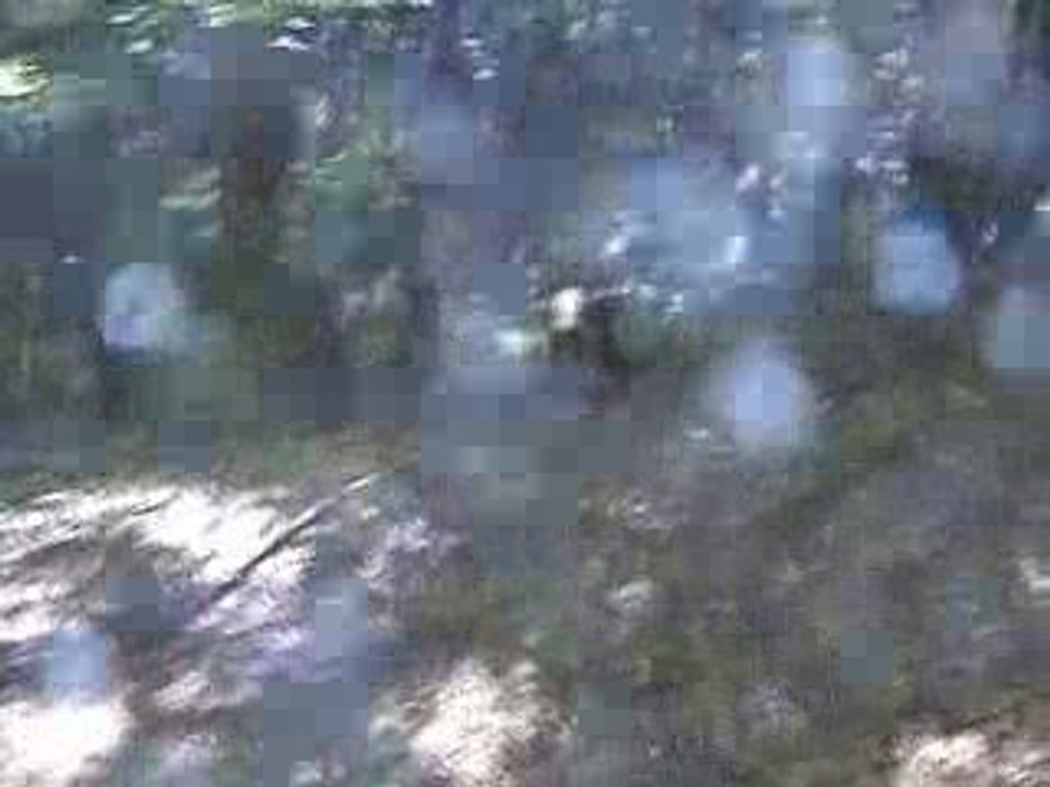 M2U00133