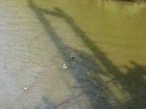 Nantes : Rendez-vous de l'Erdre 2009