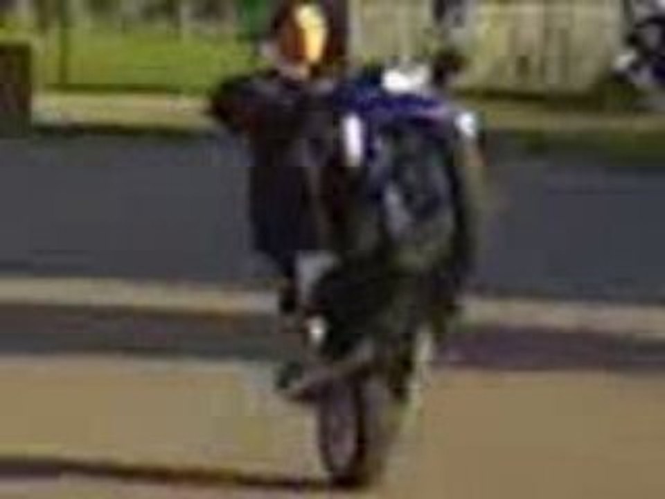 scoot