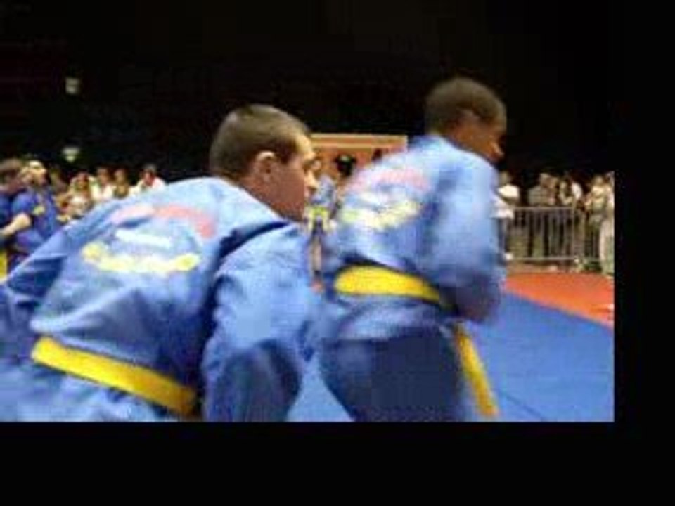 vovinam viet vo dao demonstration 2009 part 3 carat