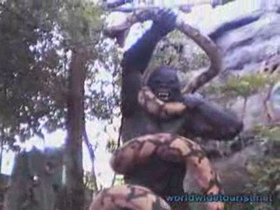 Italy Gardaland Theme Park - Tunga