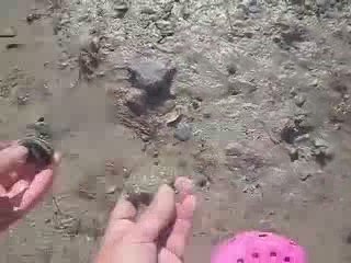 Technique de la pêche à pied la palourde et la coque bleue