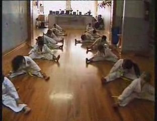 Reportage sur le Taekwondo et le Mudo Club de Villeurbanne