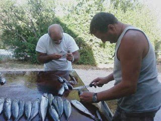 PECHE A LA TRAINE 06092009