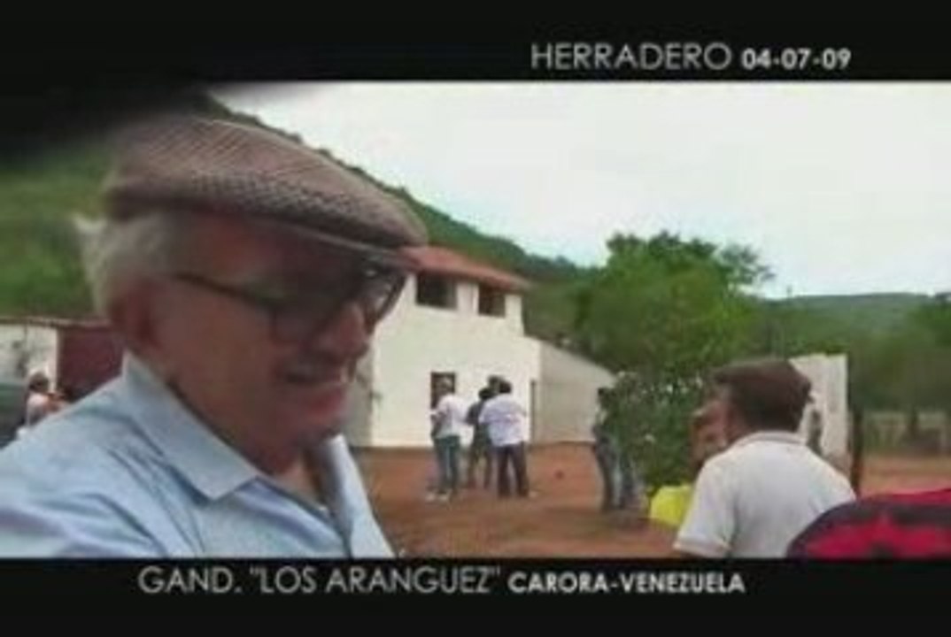 Herradero en la Ganadería Venezolana "Los Aranguez"