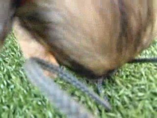 1ere sortie dans le jardin.