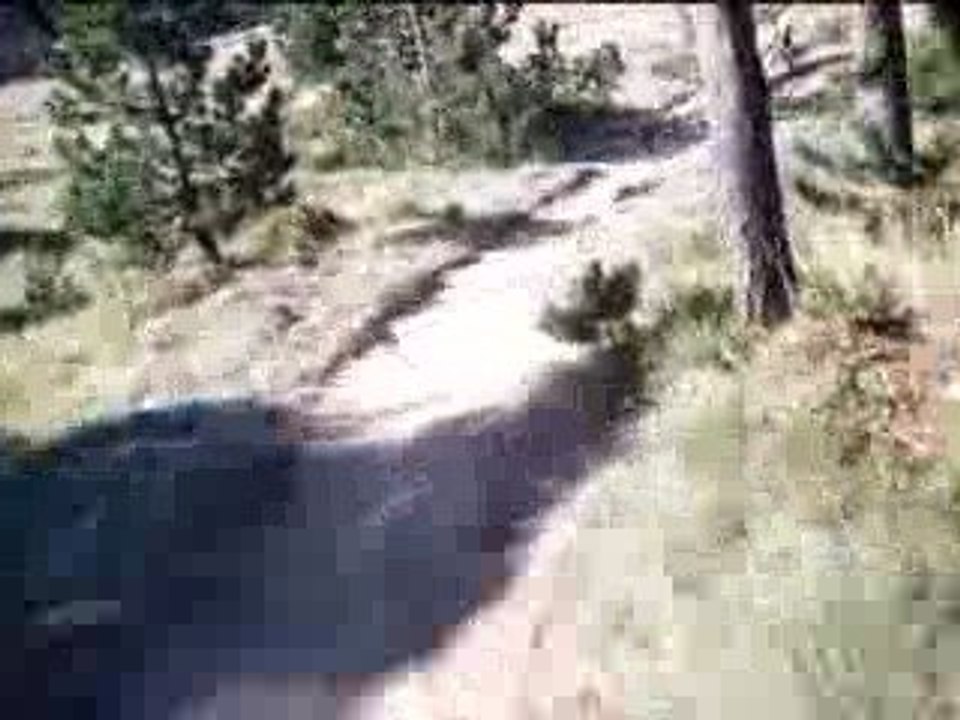 VTT DH Jumps /  jumps  Sept 2009