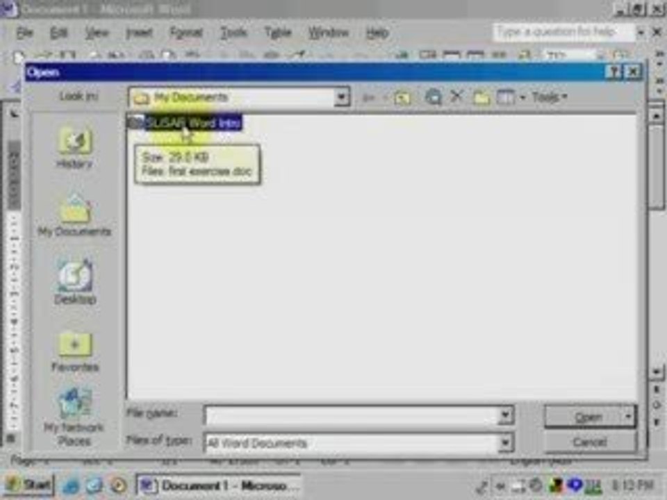 Beginner Computer Knowledge on Hoe To Open A File