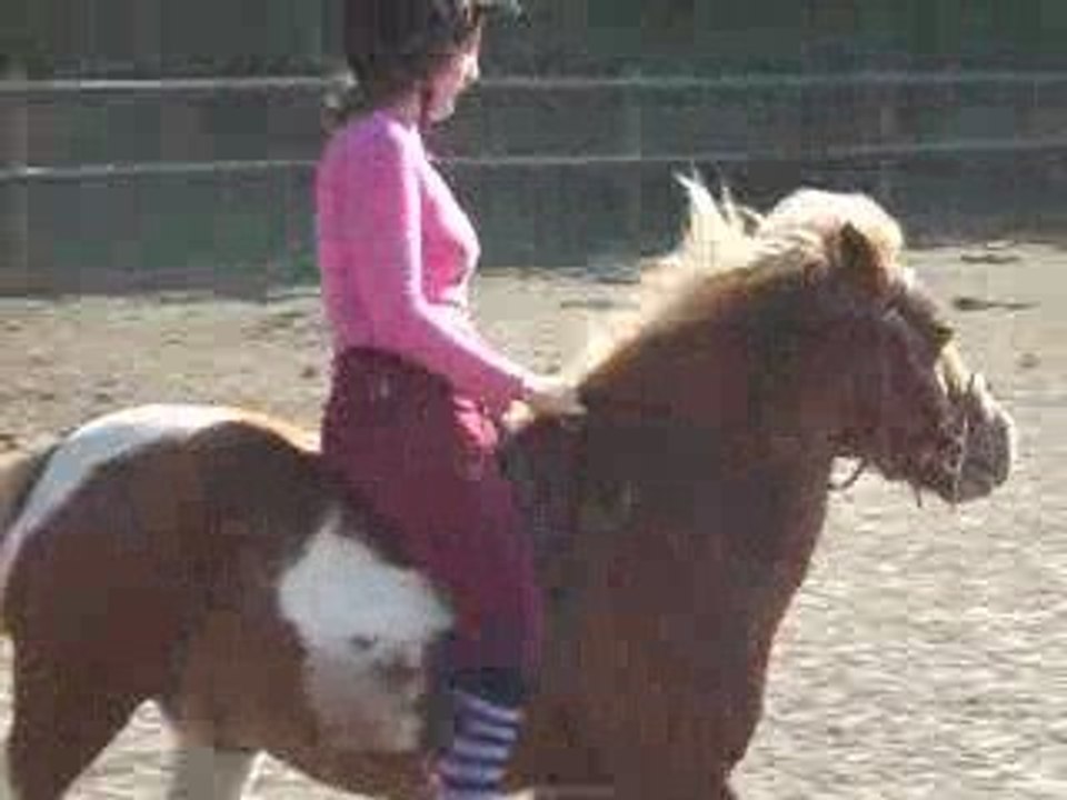 Barre de 55 centimètre à main gauche