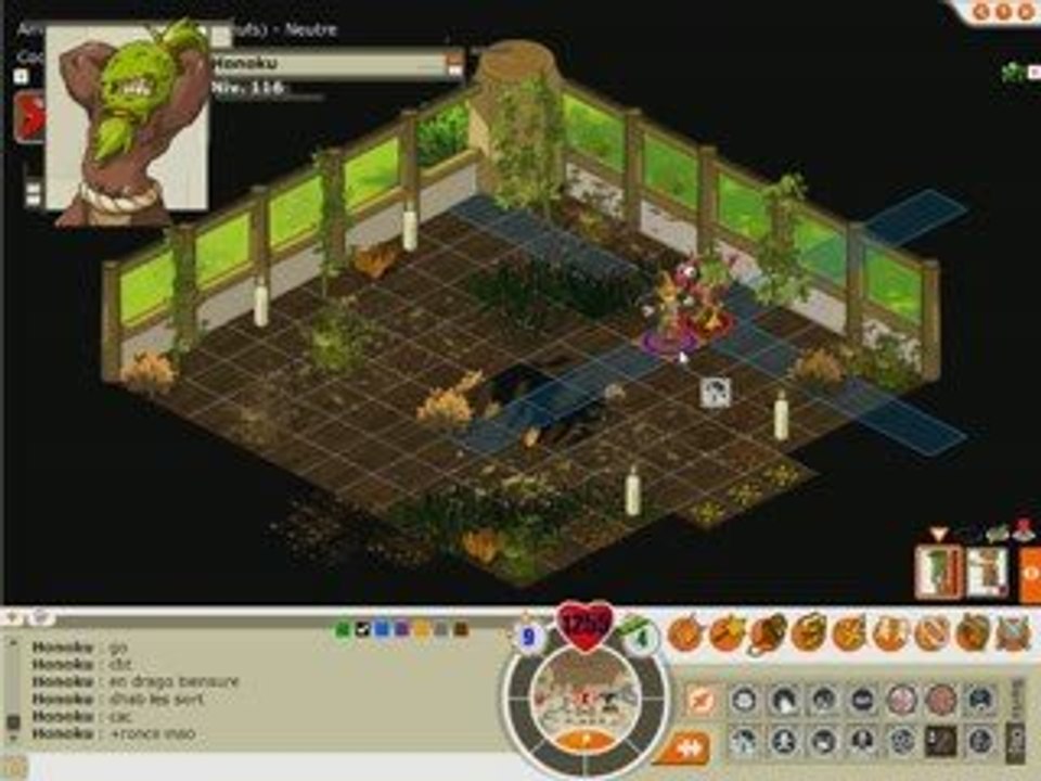 honoku sadi lvl116 dofus