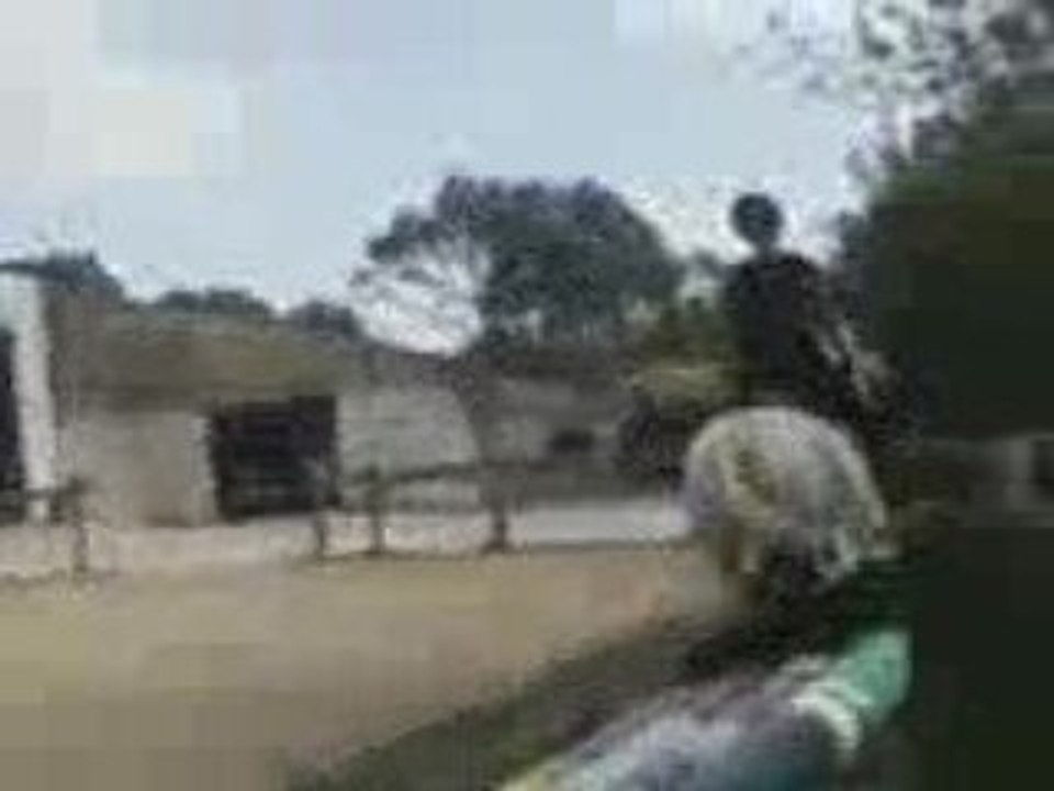 Cour d'équitation le 12/o9/2oo9