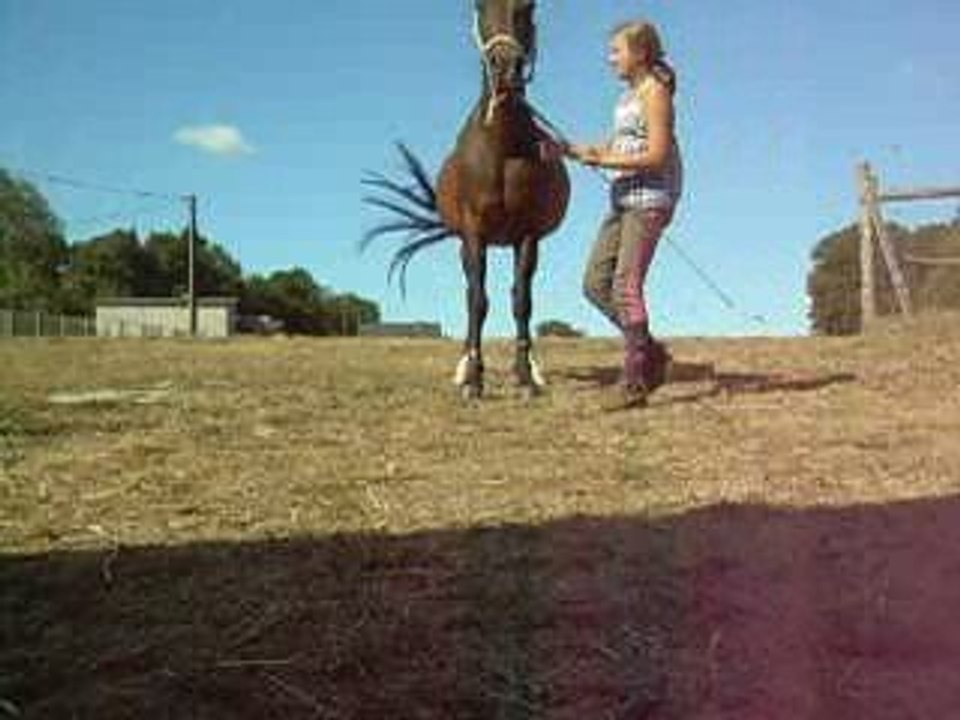 pivot et....découvrez