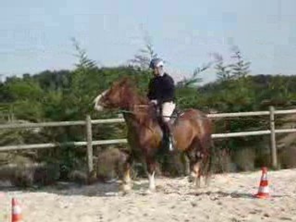 oraure trot 12/09