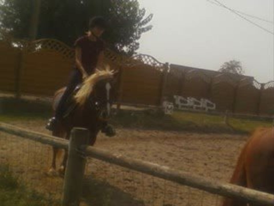 Ma femme la meilleure (ll)