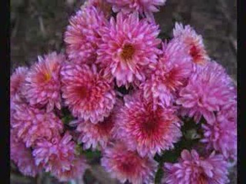 dj ateş - aşkımın tek gerçeği & ne olur allah'ım