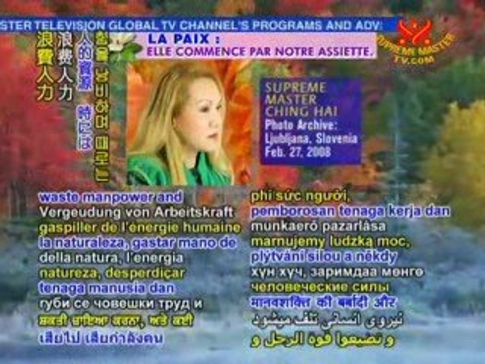 Our Lifestyle Affects the Environment - P2/4