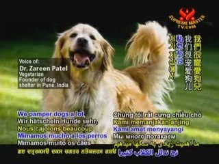 Dr. Zareen Patel - Guardian of Doggie Angels in Pune, India