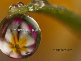 Mehmet Yetkin - Mualla Gavsi