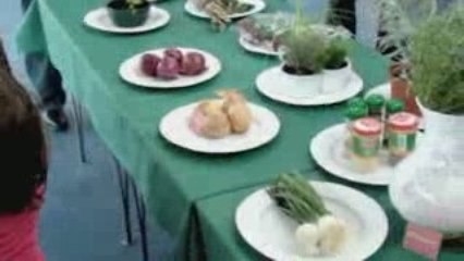 Chambly : exposition sur les plantes