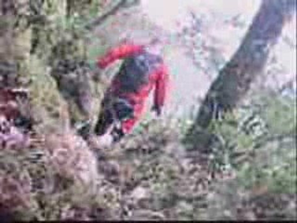 ROVELLO XTREME 2009LA TRIALERA DEL ROVELLO