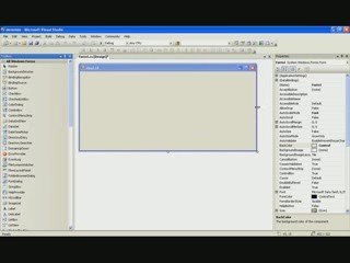 CSharp ortam