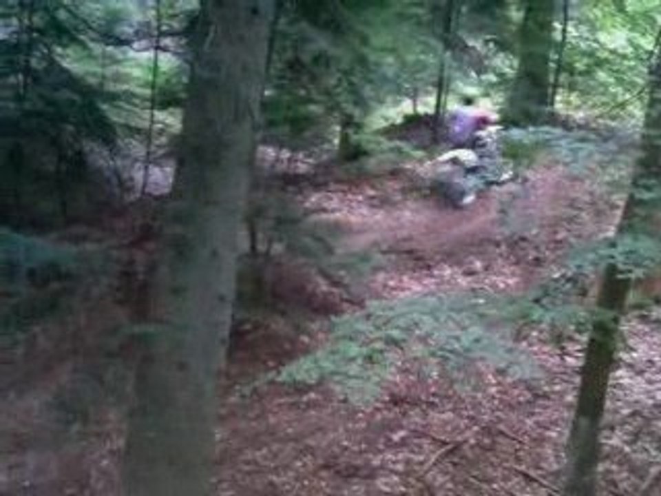 Prologue HM 50