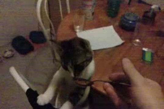 kiki mange a la cuillére