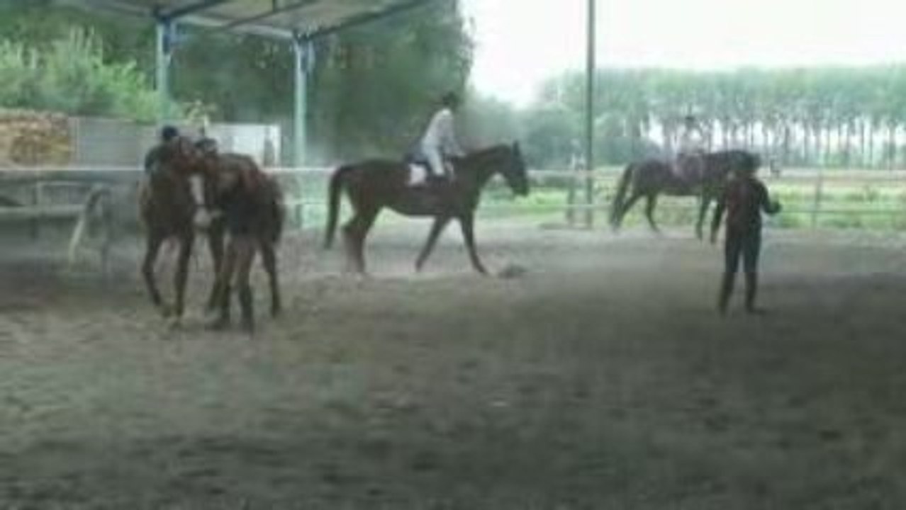 Le plongeon de charley