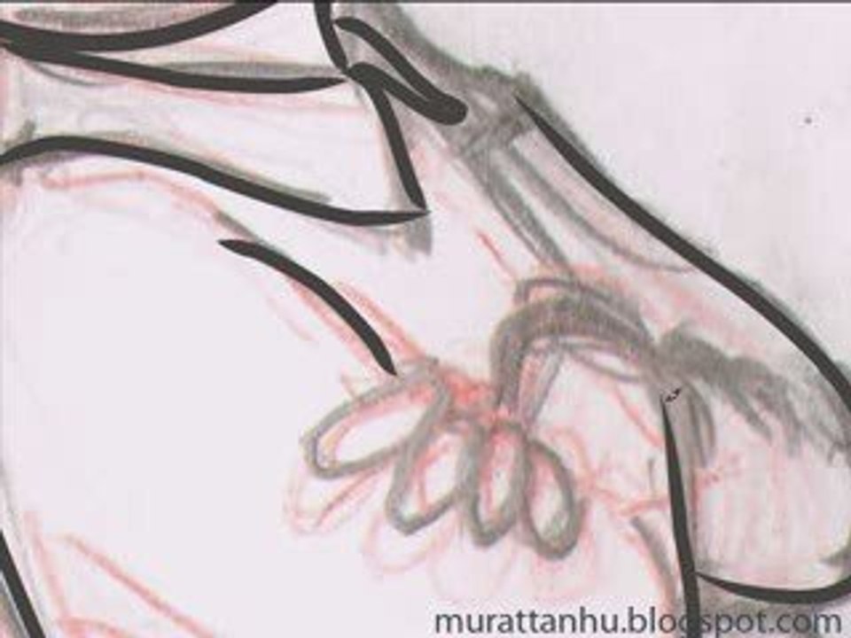 illustrator cs4 kontor çizmek