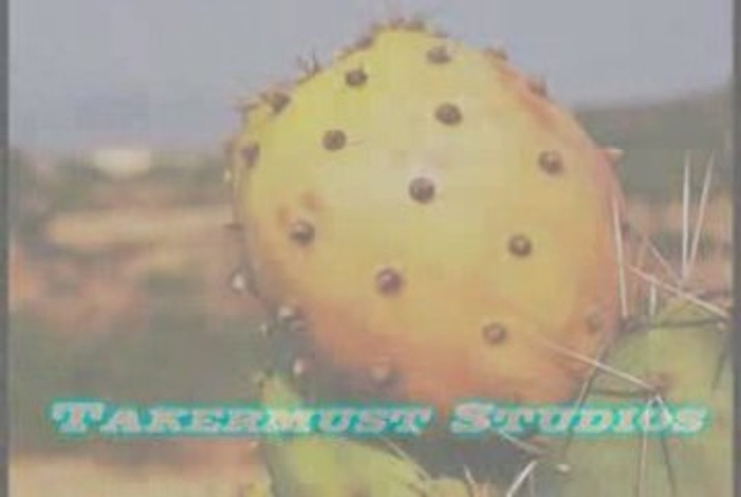 Kabyle en mode Animation