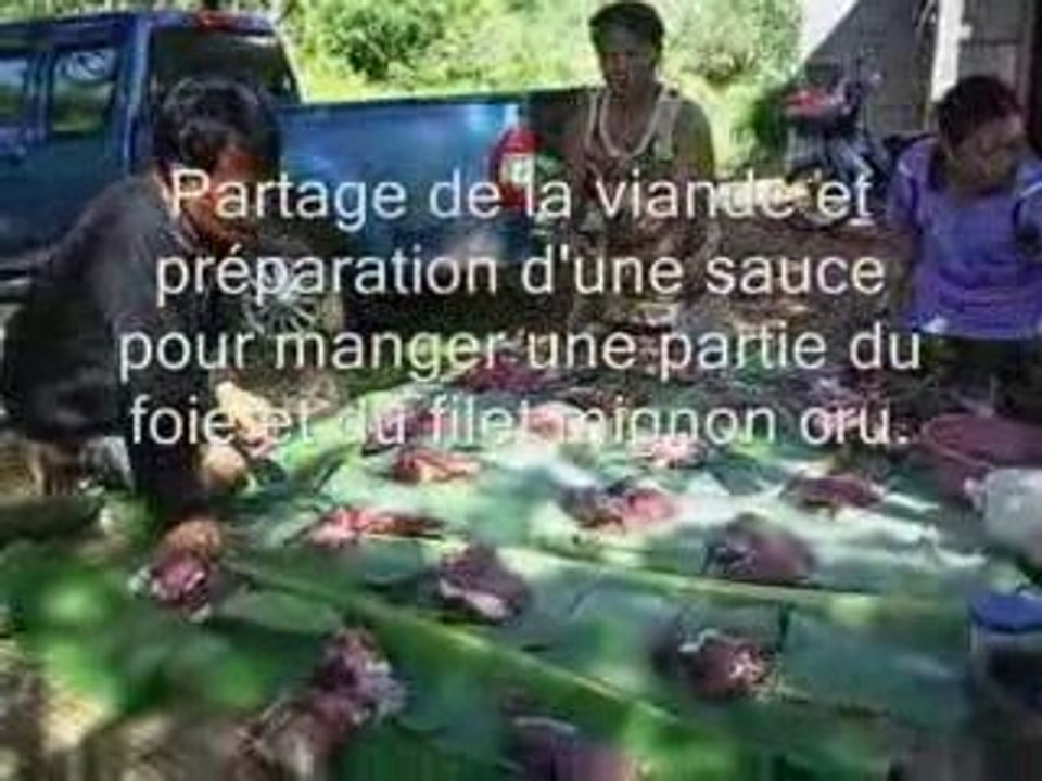 Thailande Isan, partage d'un buffle.