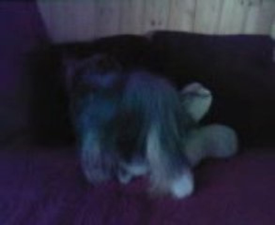 La chienne