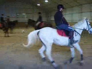 KAPADOKYA DA AT SEYRİ KİRKİT AT ÇİFLİĞİ (3)