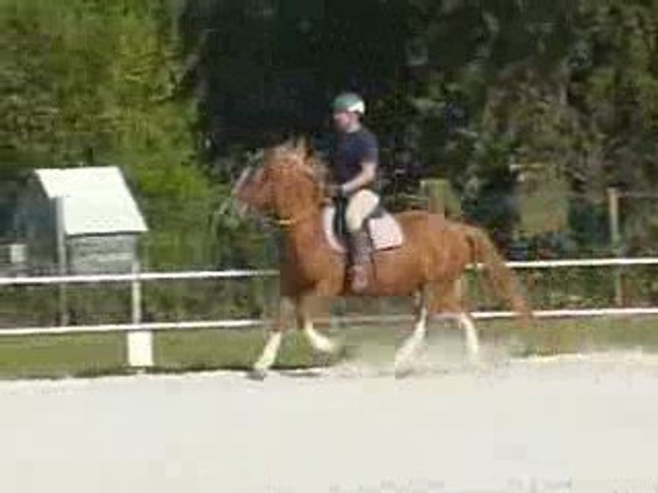 léna galop 12/09