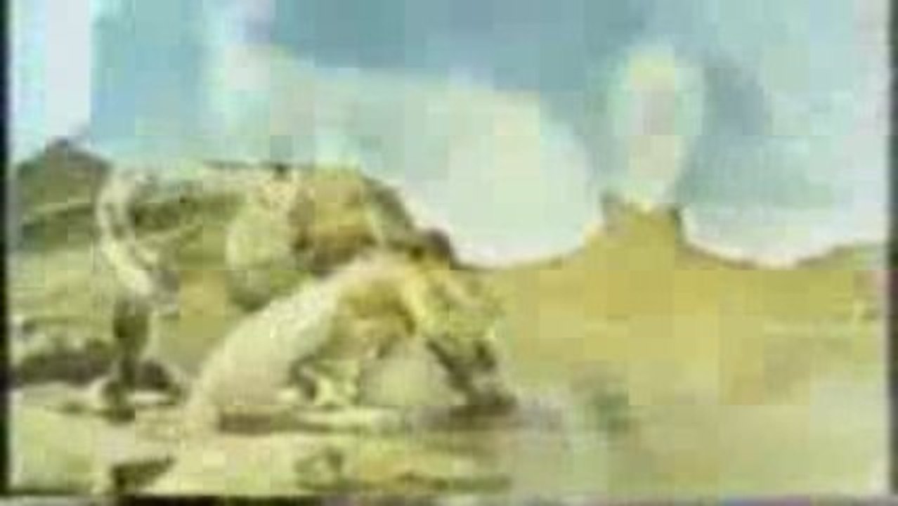 マンダム