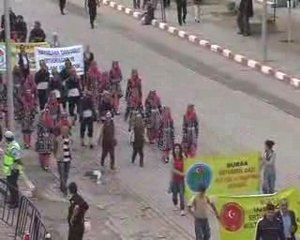 söğüt şenlikleri 2