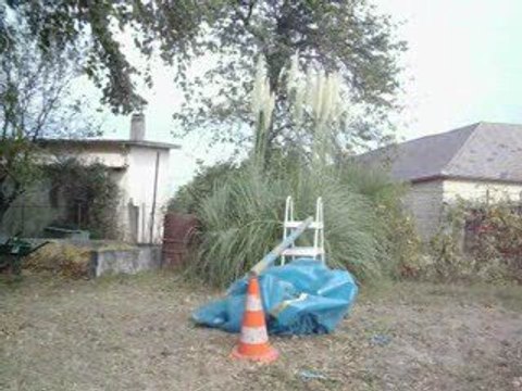 °°°°°longe meunster saut bidet 12 septembre °°°°°