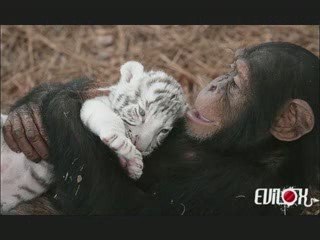 un moment de tendresse