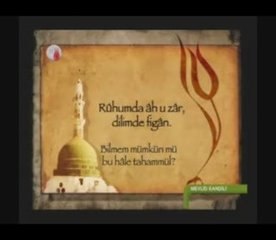 insanlığın efendisi