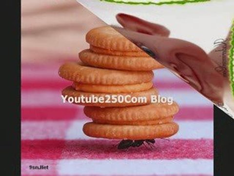 Komik Resimli Video ( toplist site ekle hitsaati.tr.gg )