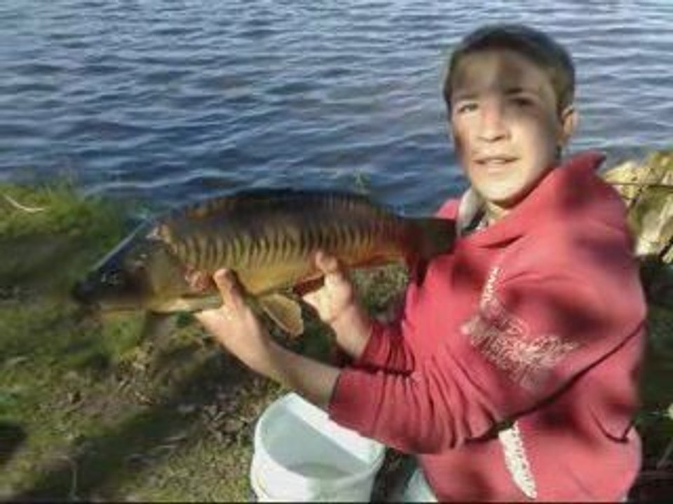 compilation carpe 2009