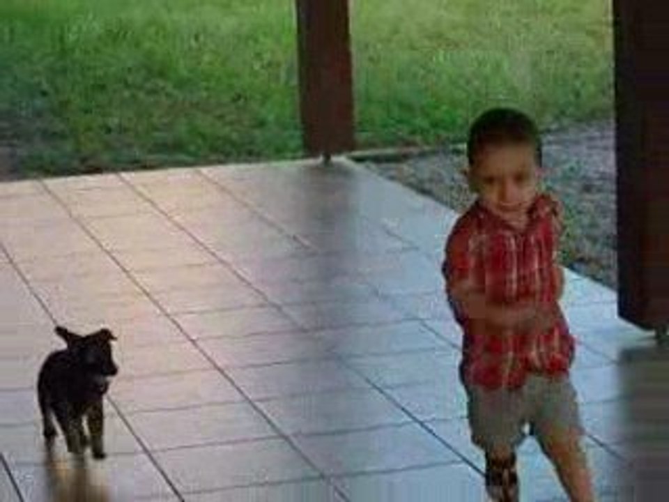 alex et le chien