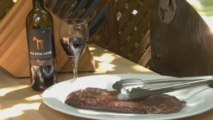 Shiraz Flank Steak Recipe