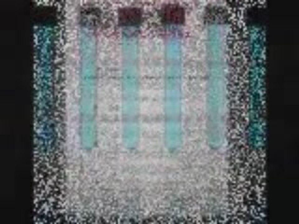 love automatic|automatic vs. manual|hamilton automatic