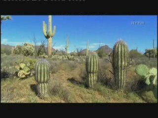 spiritualité .... voir sont conditionnement ...