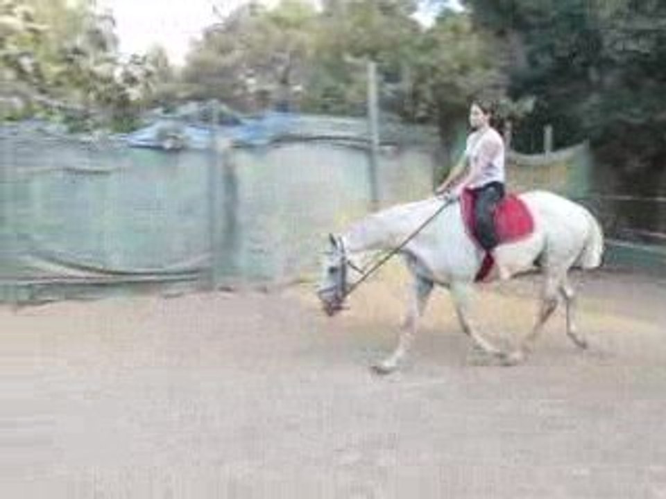 P1000460