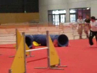 exposition canine 2009 tess